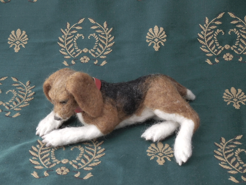 lounging beagle